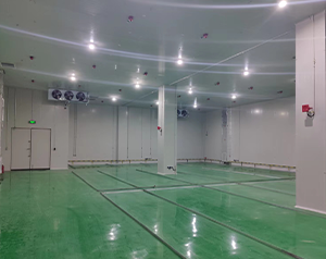 化工企業(yè)內(nèi)建造一個(gè)100平防爆冷庫(kù)的設(shè)計(jì)安裝費(fèi)用？