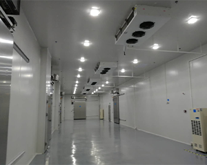 醫藥冷庫建造這些您了解嗎？藥品冷庫建設多少錢