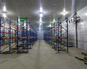 血漿蛋白冷庫設計與建造的關鍵要素有哪些