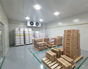 醫藥冷庫建設多少錢一平米