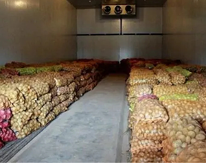 建造一千噸紅薯保鮮庫，費(fèi)用大概在多少？