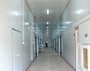 建造保鮮冷庫(kù)多少錢一平米,葡萄冷藏用氣調(diào)庫(kù)