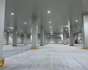 內蒙古果蔬冷庫建造廠家