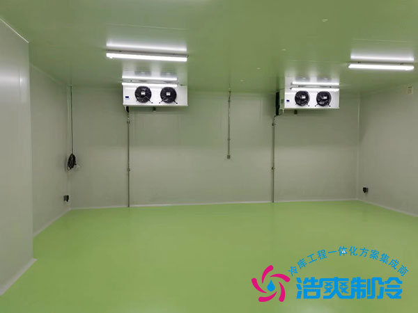 制藥廠醫(yī)藥冷庫(kù)建設(shè)