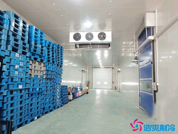 上海建設50噸冷藏庫造價多少錢？50噸冷庫需要多大的機器？