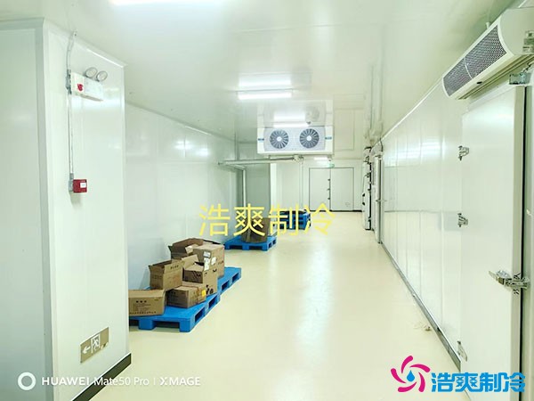 儲存疫苗的企業獨立冷庫有幾個？生物疫苗冷庫造價