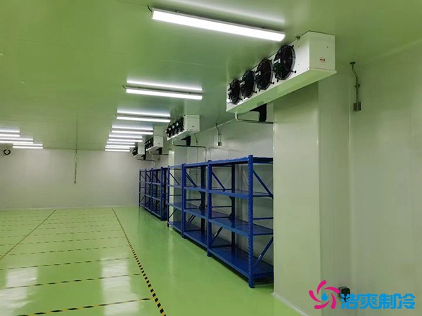 儲存疫苗的企業獨立冷庫有幾個？生物疫苗冷庫造價