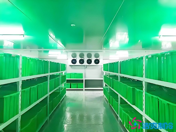 藥品批發(fā)企業(yè)冷藏庫平方面積要求多少？1000平藥企冷庫造價(jià)