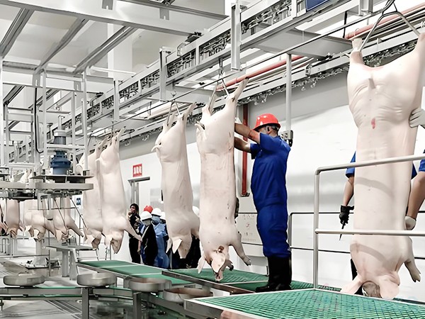 畜禽屠宰冷庫(kù)和肉類(lèi)低溫冷庫(kù)的造價(jià)區(qū)別