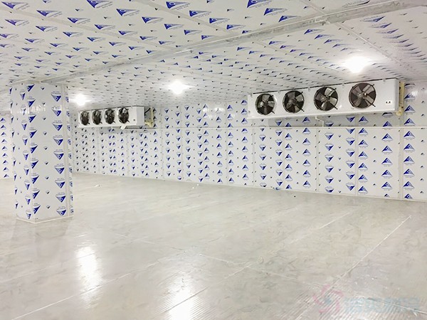 建一個冷凍庫造價需要多少錢一平方？